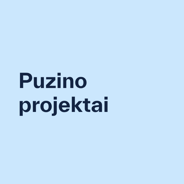 Puzino projektai UAB was founded to develop rental operations at P. Puzino g. 1, Panevėžys.
