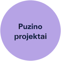 Puzino projektai