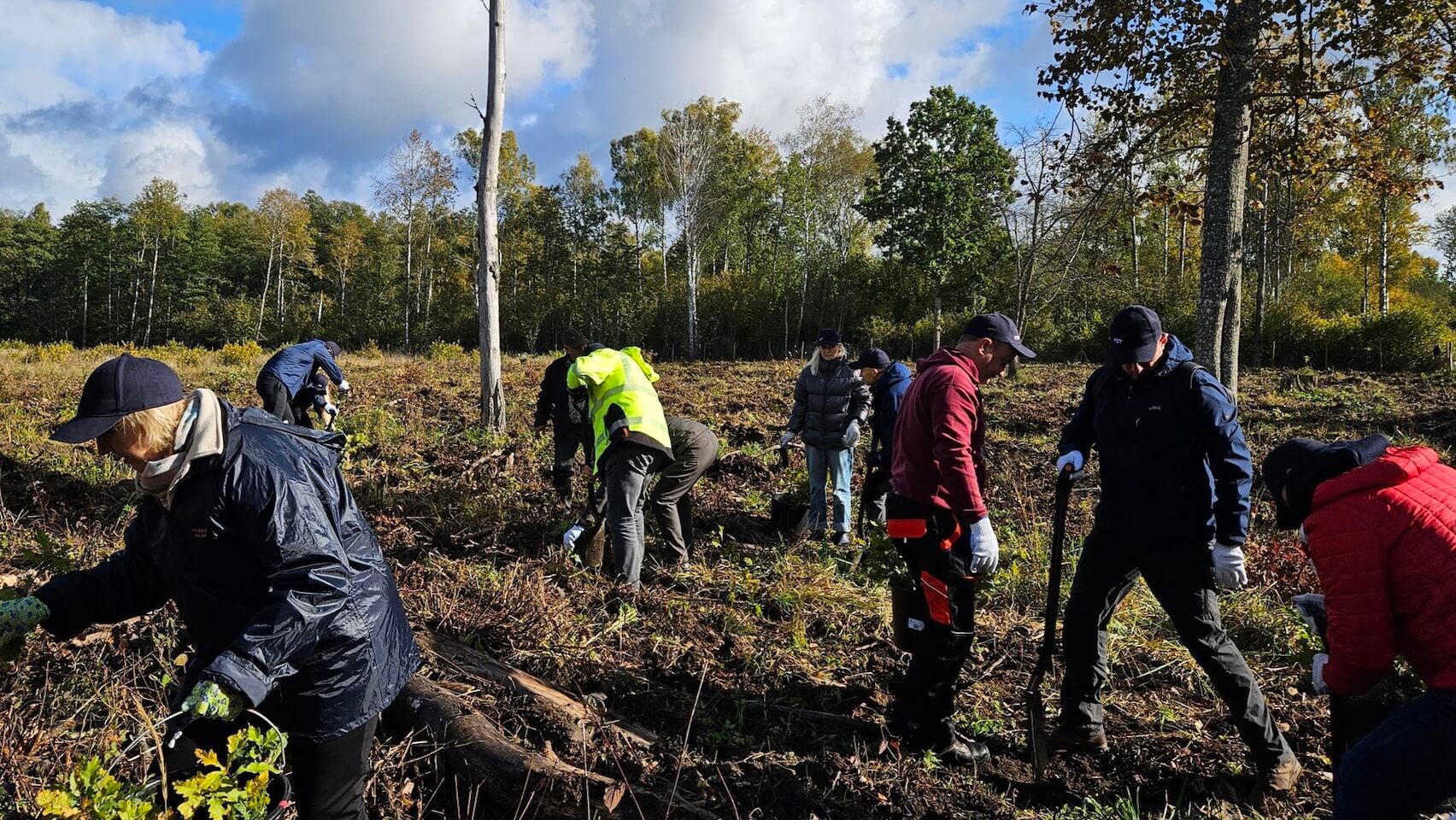 Third annual tree planting campaign
